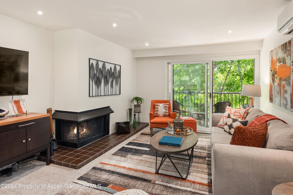 205 E Durant Ave unit 3-F, Aspen, CO 81611 - photo 1