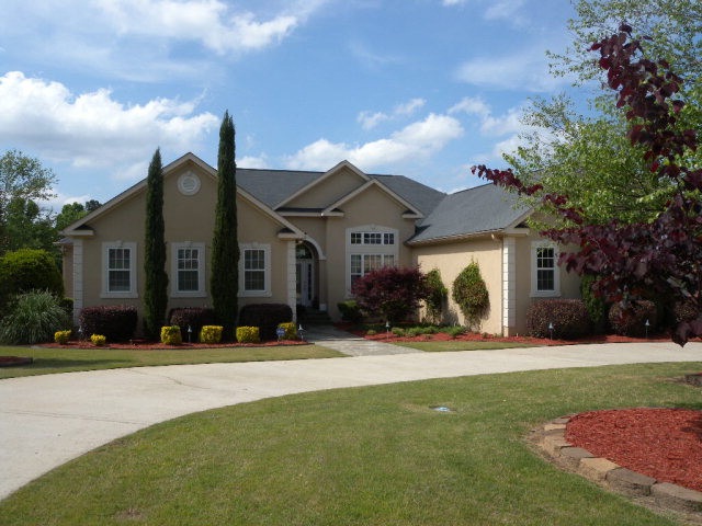 Main View