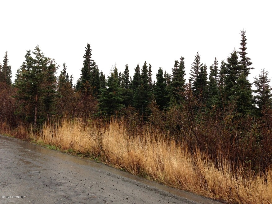 image_1