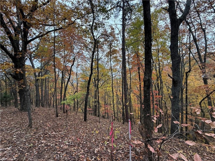 355 Orieole Ct, Ranger, GA 30705 - photo 1