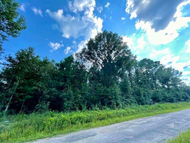 0 0 Ernie Cole Rd, Ragley, LA 70657 - photo 1