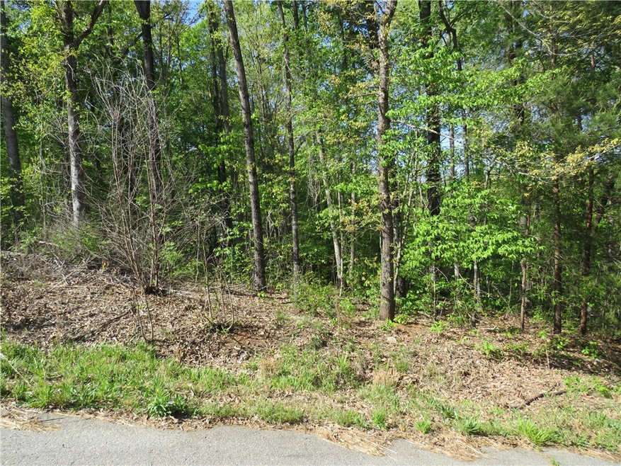 Lot 9 Ledbetter Ln, Walhalla, SC 29691 - photo 1