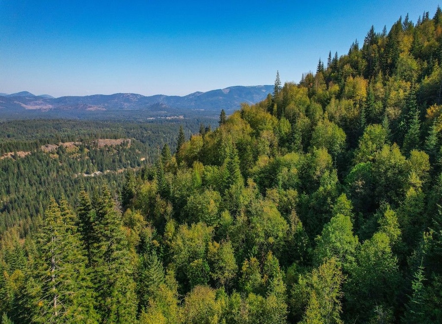 0 Nka Bodie Canyon Rd, Priest River, ID 83856 - photo 1