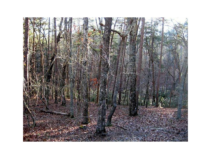 Land/Lot. Easy Building Lot  - Gently Sloping Down