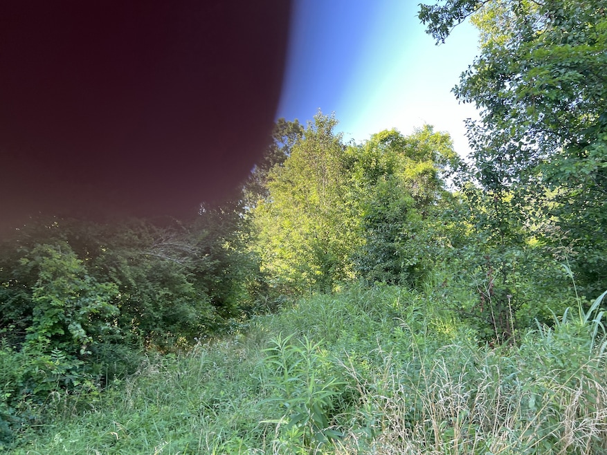 0 Marietta St, Pulaski, TN 38478 - photo 1