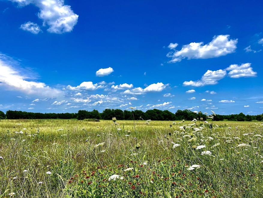 20771 County Road 590, Nevada, TX 75173 - photo 1