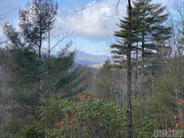 Lot 20 E Ridge Rd, Cashiers, NC 28717 - photo 1