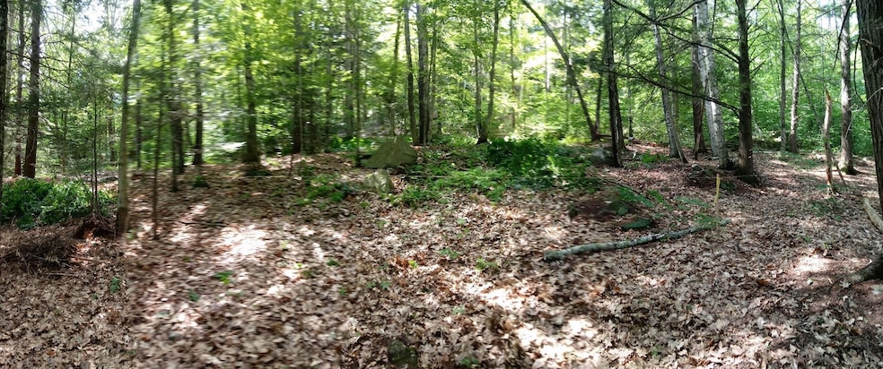 420 Sutton Rd, Newbury, NH 03255 - photo 1