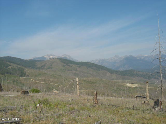 Lot 6 Dickson Creek Rd, Darby, MT 59829 - photo 1