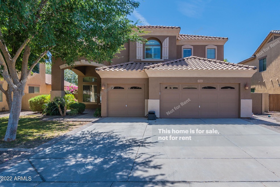4860 S Cobblestone St, Gilbert, AZ 85298 - photo 1