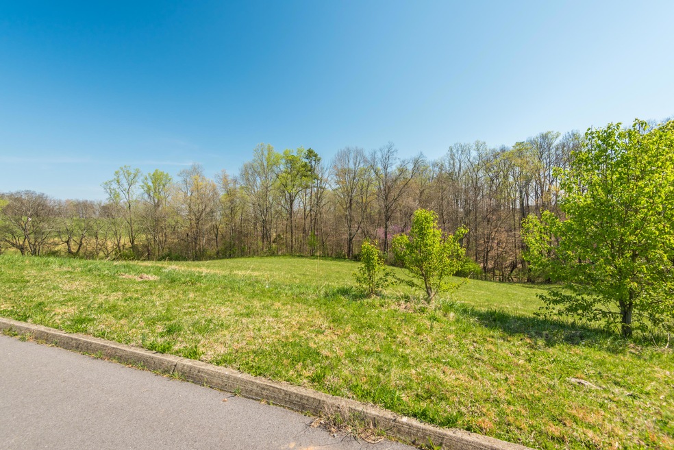 2110KingViewLoop
