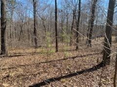 0 Harmon Rd unit 7000857, Temple, GA 30179 - photo 1