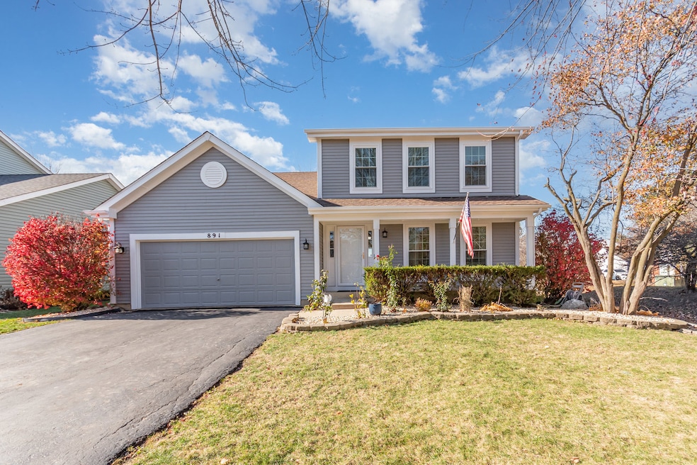 891 Lowell Ln, Naperville, IL 60540 - photo 1