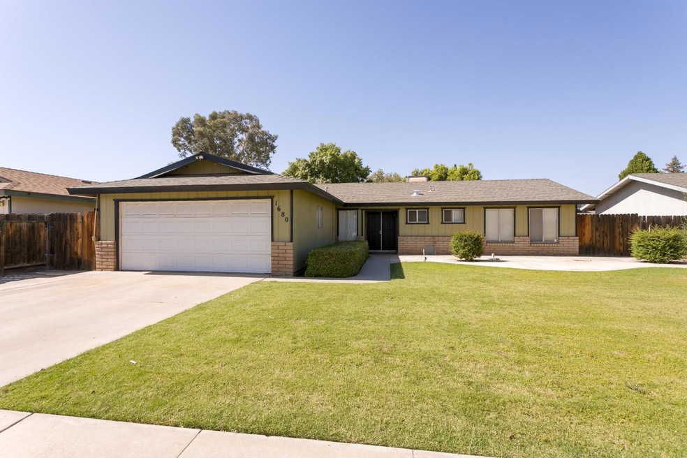 TerryCt-9981 (Large)