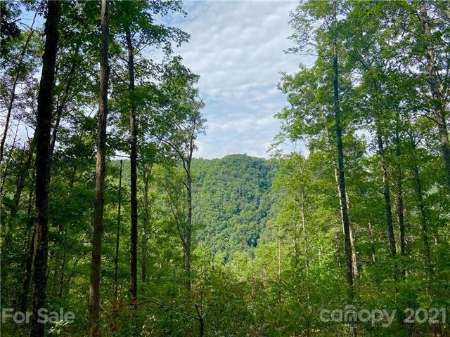 Beautiful views and peaceful river sounds from Hom