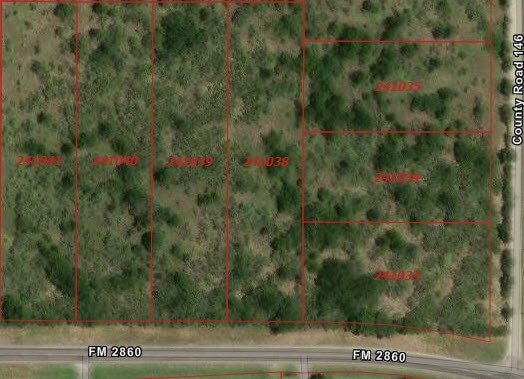 TBD Farm To Market Road 2860, Kemp, TX 75143 - photo 1