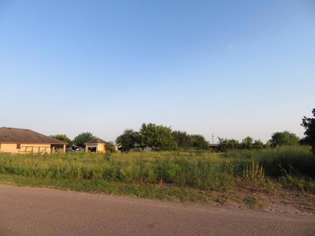 00 Blue Bonnet Dr, Donna, TX 78537 - photo 1