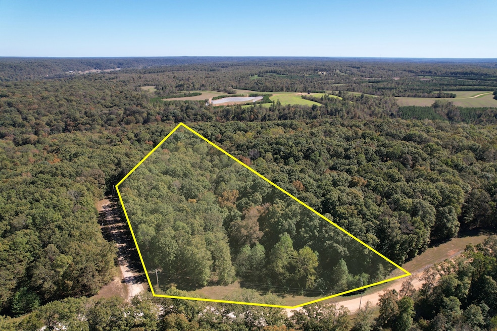 0 Snowgoose Ct unit RTC3042009, Hurricane Mills, TN 37078 - photo 1