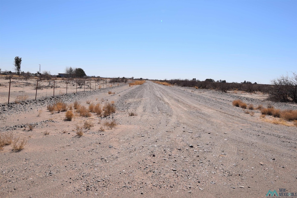 0, Deming, NM 88030 - photo 1