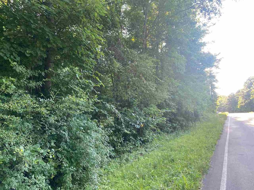 0 Alston Bridge Rd unit 2390690, Siler City, NC 27344 - photo 1