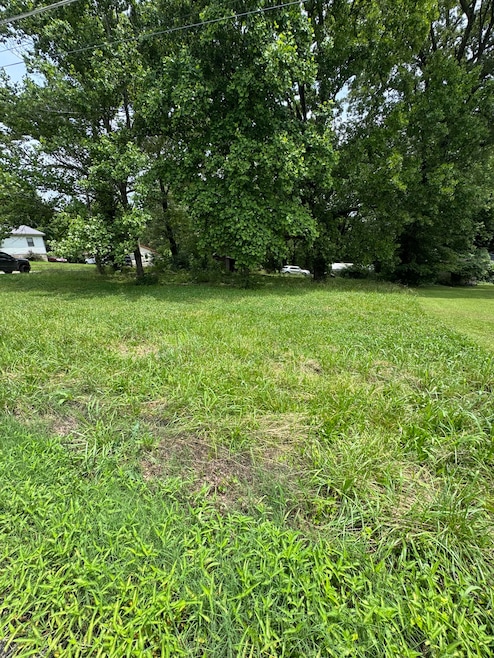 214 Sherman, Thayer, MO 65791 - photo 1