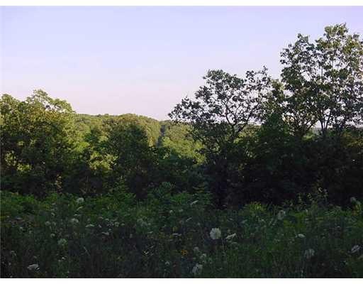 L22 B2 Leona Dr, Bella Vista, AR 72715 - photo 1