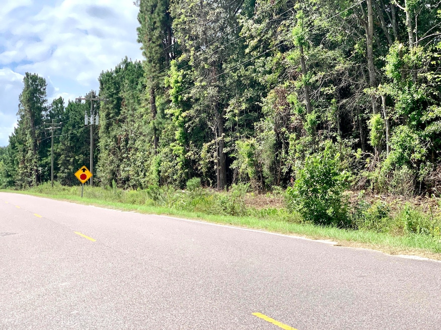 400 Airport Dr, Moncks Corner, SC 29461 - photo 1