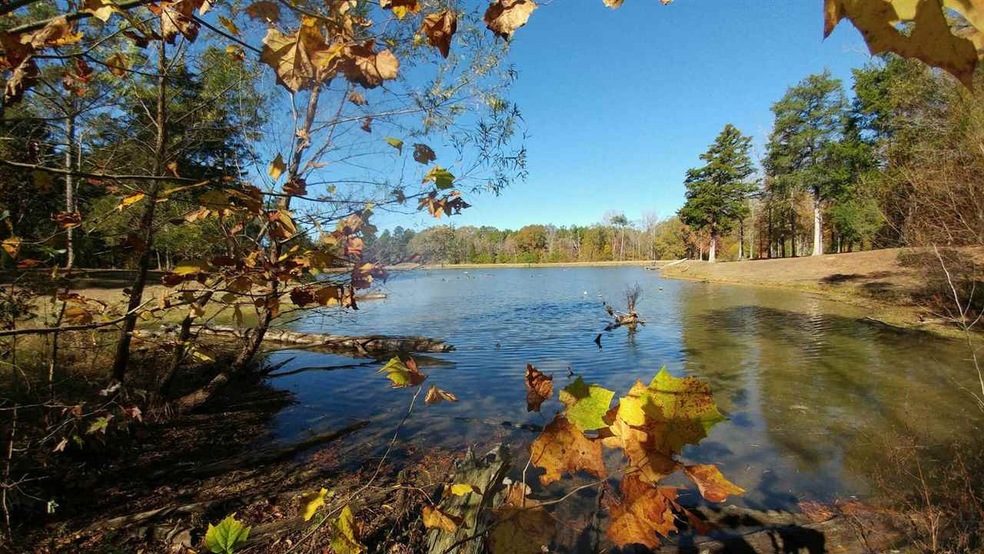 120 Livingston Dr unit 41, Madison, MS 39110 - photo 1