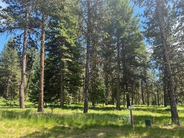 11 Vernon Ct unit Lot 24, McCall, ID 83638 - photo 1