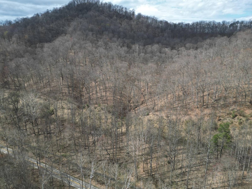 13278 Ridgeview Nellis Rd, Costa, WV 25051 - photo 1