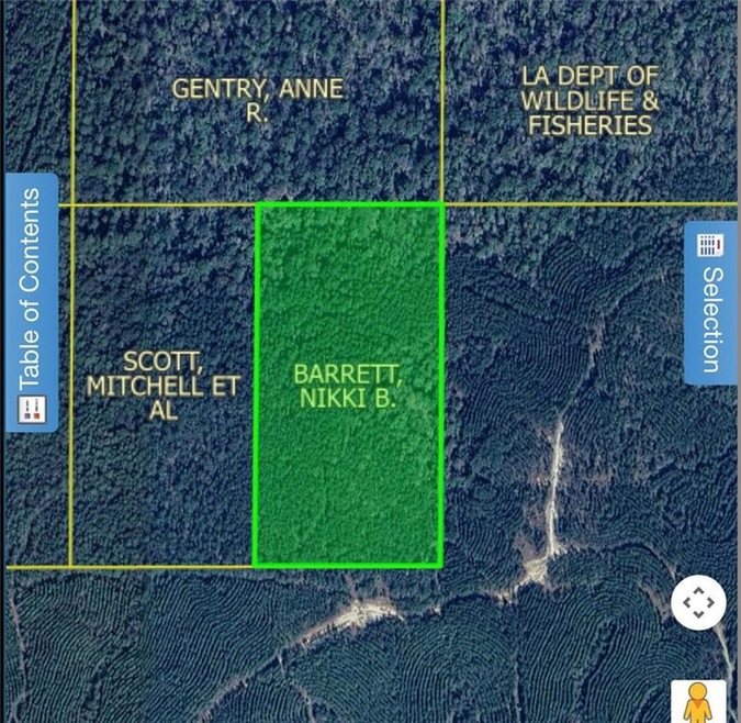 0 Camp Hardtner None, Pollock, LA 71467 - photo 1