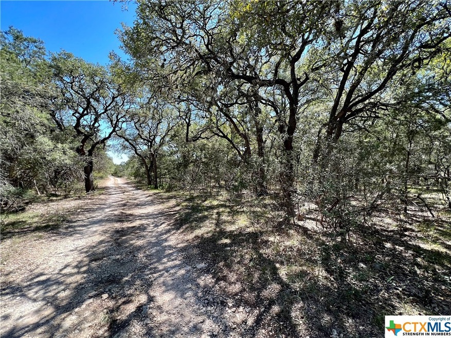 131 Thousand Oaks Loop Rd unit B, San Marcos, TX 78666 - photo 1
