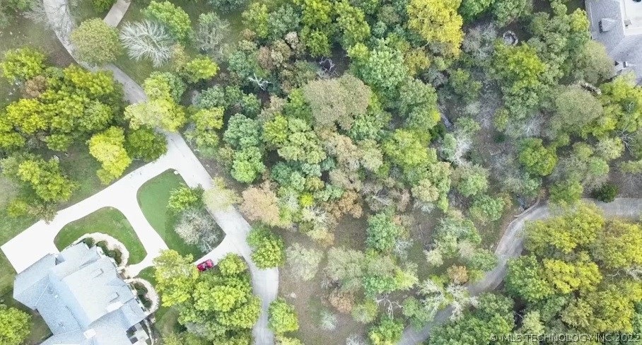 Ariel view of gorgeous, wooded cul-de-sac lot.
