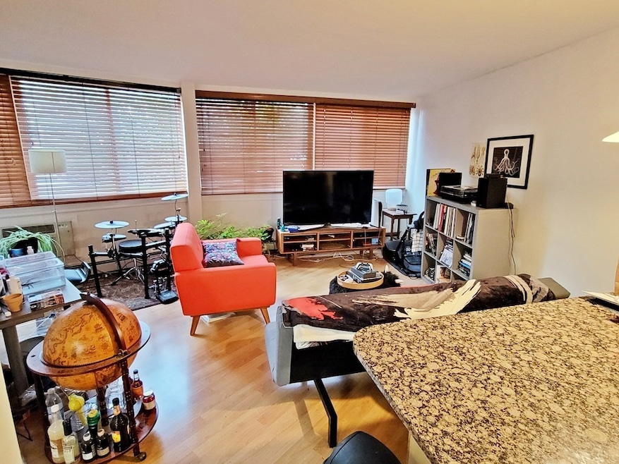 512 Green St unit 1A, Cambridge, MA 02139 - photo 1