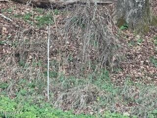 0 Clayton Mill River Rd, New Marlborough, MA 01244 - photo 1