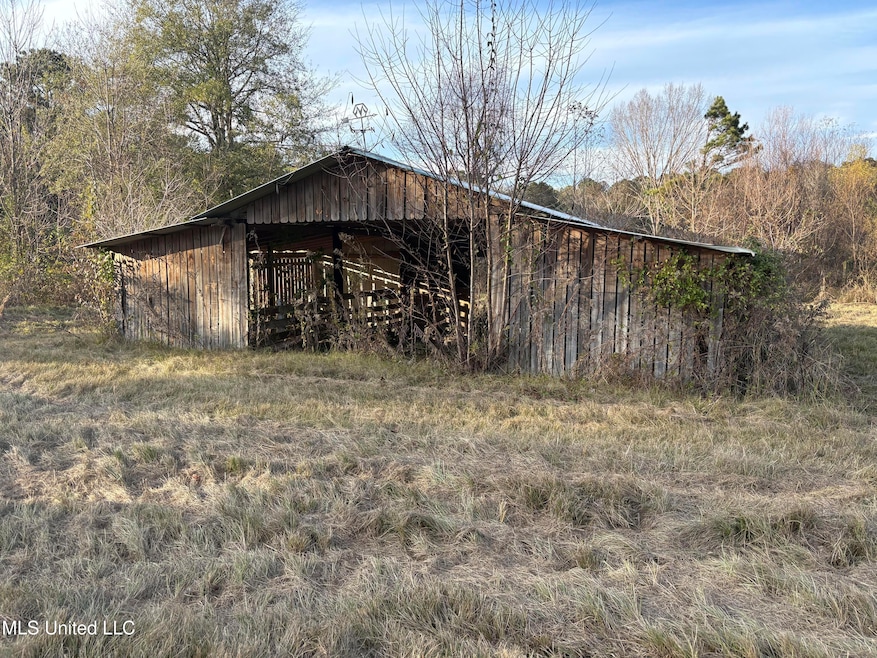 824 Ratliff Ferry Rd, Canton, MS 39046 - photo 1
