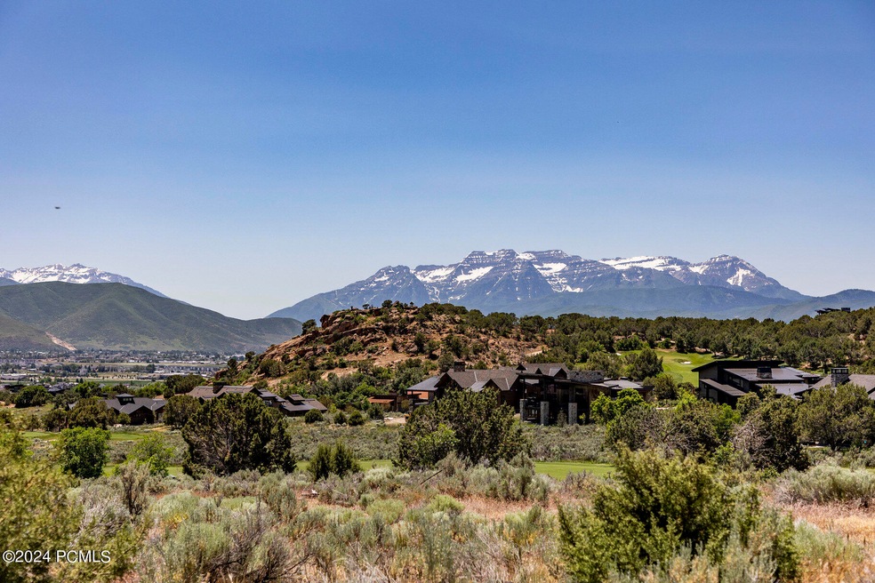 001_2884_e_brown_duck_mountain_cir006_81