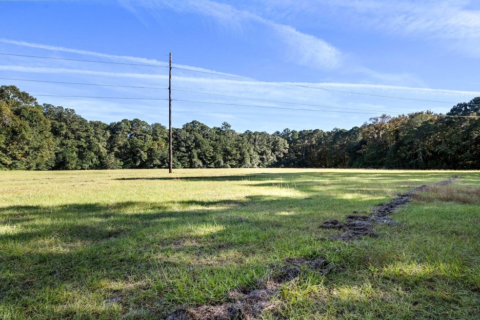 2459 Plow Ground Rd, Johns Island, SC 29455 - photo 1