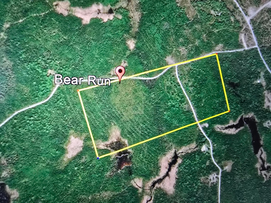L 44 Bear Run, Greenbush, ME 04418 - photo 1
