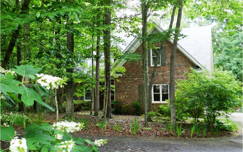 Main View