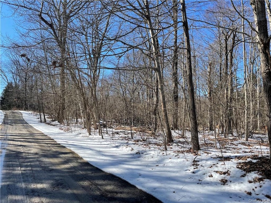 221 Ressique St, Kent, NY 14477 - photo 1