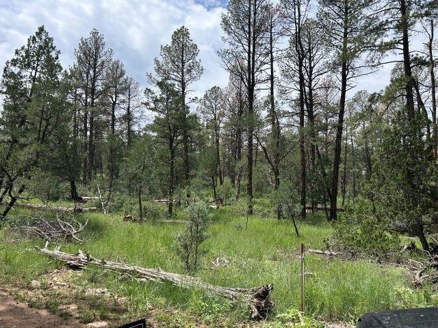 Under Contract $89,900 • Co-Listing Agent