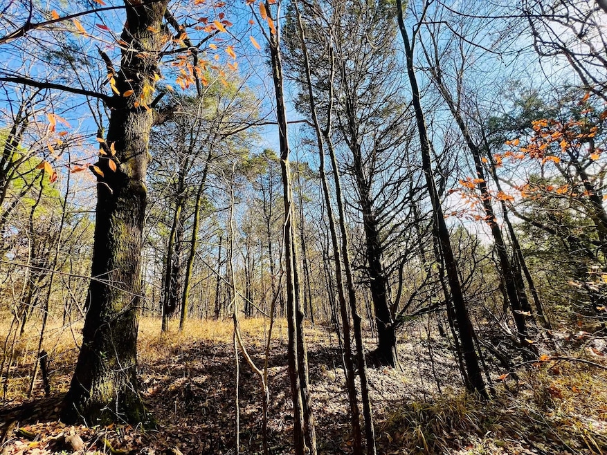 0 Miracle Temple Rd, Byhalia, MS 38611 - photo 1