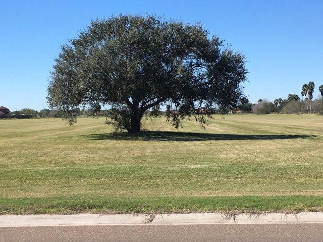 0 N Fm 493 Rd unit 203254, Donna, TX 78537 - photo 1
