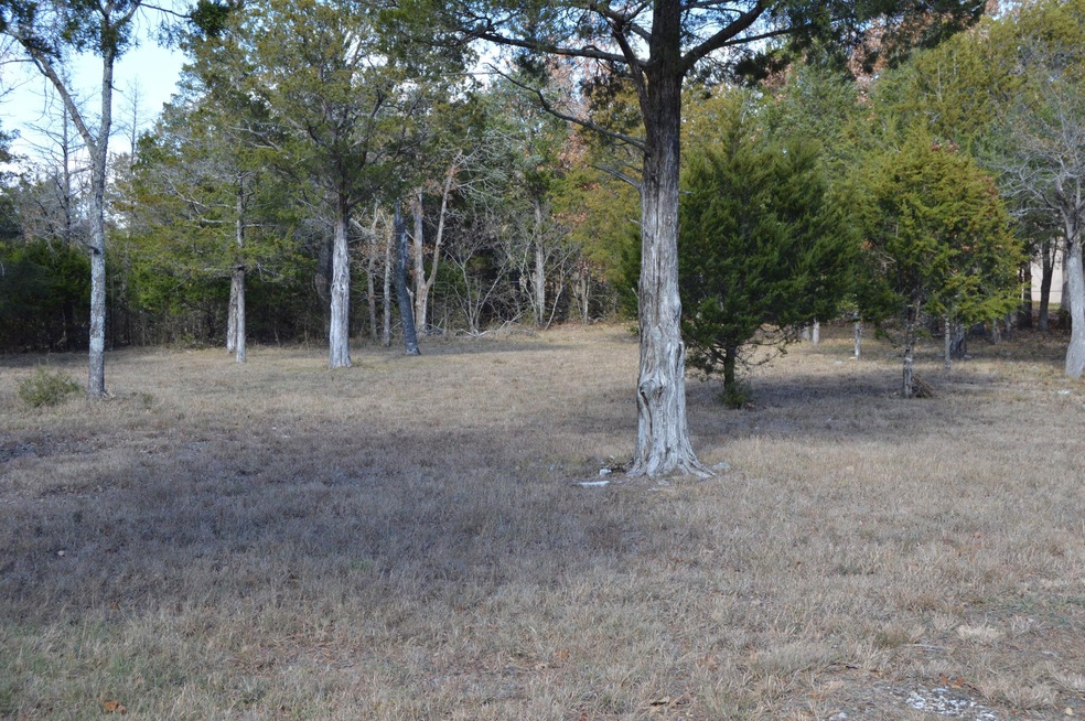 Lots 14&15 Overton Dr, Ruth B Rural Township, MO 65686 - photo 1