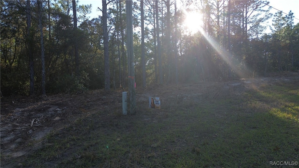 3882 W Fireside Ln, Citrus Springs, FL 34433 - photo 1