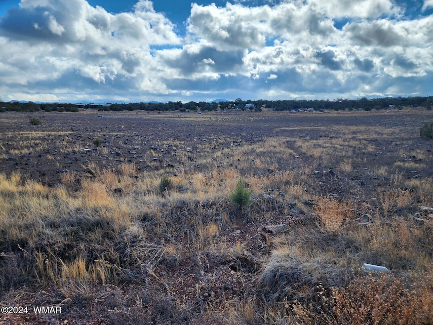 20231201_120801 (1)