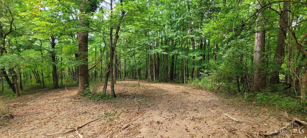 ac Laurel-Point Isabel Rd, Moscow, OH 45153 - photo 1