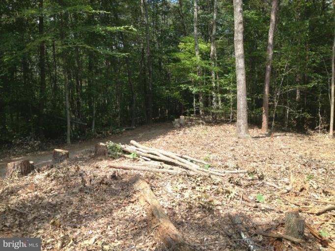 0 Doke Ln unit 1004155414, Fredericksburg, VA 22405 - photo 1