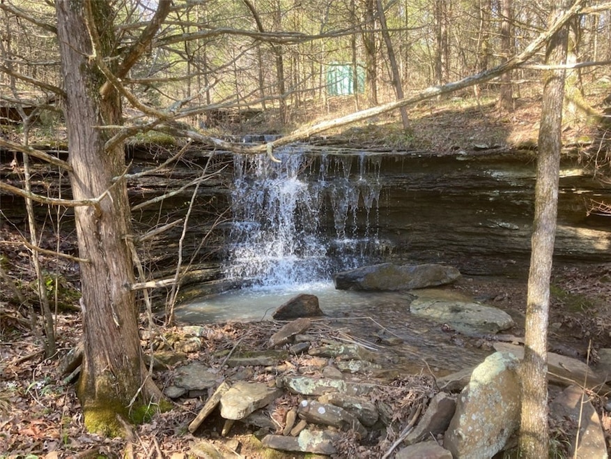 21148 Wild Boar Rd, Winslow, AR 72959 - photo 1